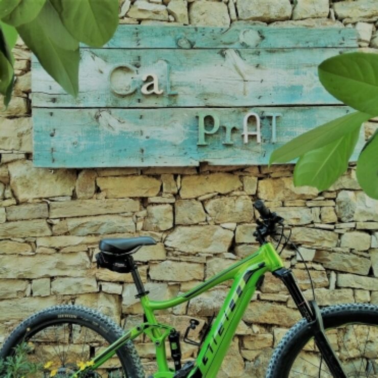 Electric mountain bike rental