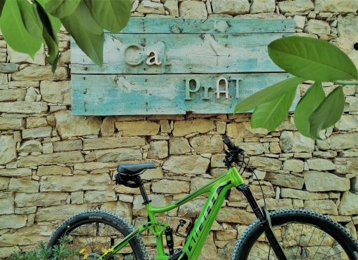 Electric mountain bike rental